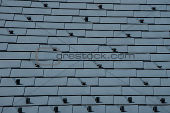 Metal Roof with Snow Guards - close up