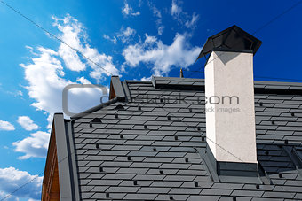 Metal Roof with Snow Guards