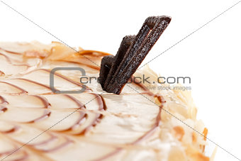 Cream cake with chocolate