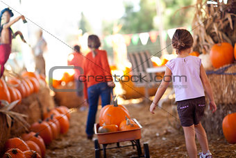 Cute Little Girls Pulling Their Pumpkins In A Wagon