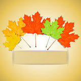 Colorful autumn leaves with place for your text