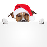 christmas banner placeholder dog