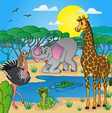 African landscape with animals 03