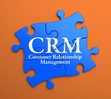 CRM on Blue Puzzle Pieces. Business Concept.