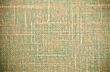 Green Grunge Textile Canvas Background 