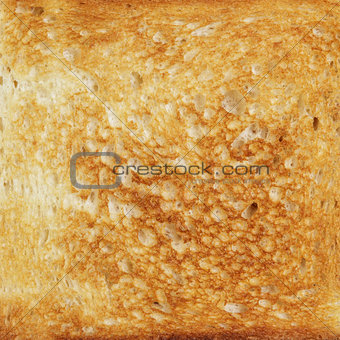 texture of toasted hot white bread