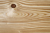 texture of pine wood plank