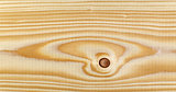 texture of pine wood plank
