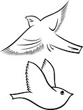 bird symbol