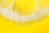 lemon-squash