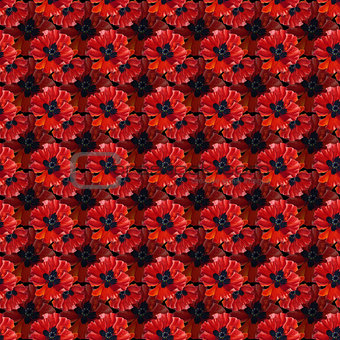 Seamless pattern with watercolor poppies