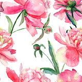 Beautiful Peonies flowers, Watercolor painting 