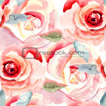 Watercolor painting with Rose flowers