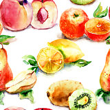 Watercolor illustration of fruit