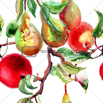 Watercolor Illustration of pears and apple