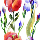 Seamless pattern with Iris and Tulip flower