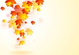 Elegant vector autumn background