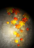 Grunge autumn vector background