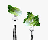 Lettuce pierced by fork,  isolated on white background 