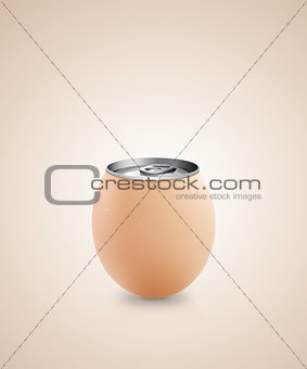Egg Idea