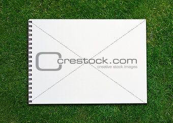  notebook on grassland
