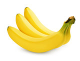 Three bananas isolated on white