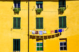 Detail of colorful yellow house walls and windows