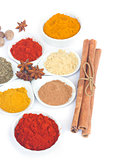 set of spices on white