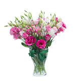 Pink eustoma flowers in vase