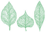 green leaf silhouettes, vector set