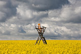 Hunting tower on the rape field