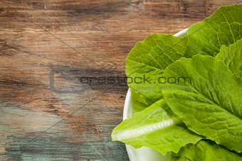 romaine or cos lettuce