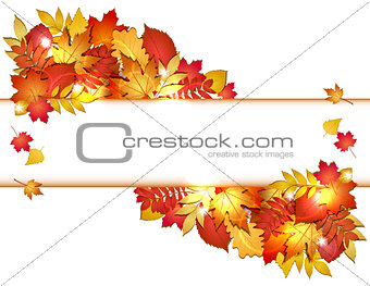Autumn banner with red leaves.