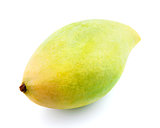 Fresh waterlily mango 