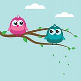 Two cute birds on the tree branch