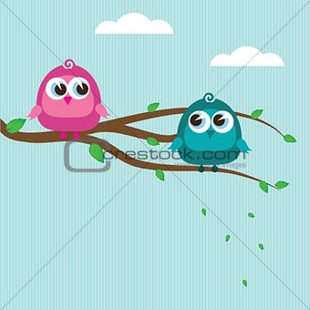 Two cute birds on the tree branch