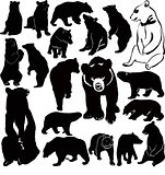 collection of animal vector bears