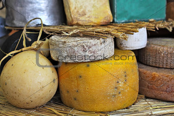 Mature cheese wheels on the stand.
