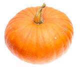 ripe orange pumpkin isolated on white background
