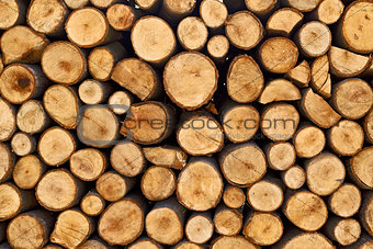Biomass firewood