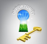 Key Opportunity Concept