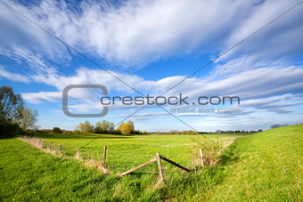 fence on sunny dutch farmland