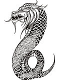 oriental legless dragon worm