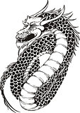 powerful oriental dragon
