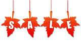 autumn sale in 3d leaves 