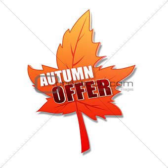 autumn offer in 3d leaf 