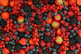 Berry fruits
