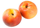 orange peaches
