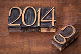 new year 2014
