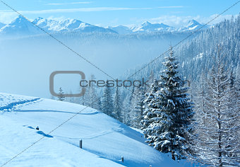 Morning winter misty mountain landscape